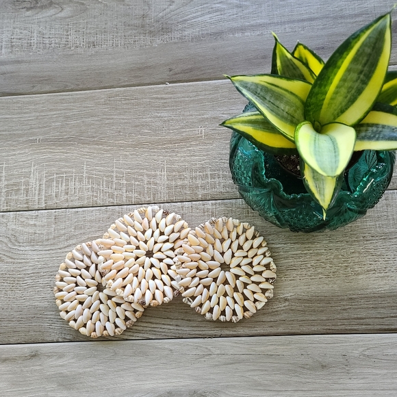 Other - Set of 3 Vintage Seashell Coasters